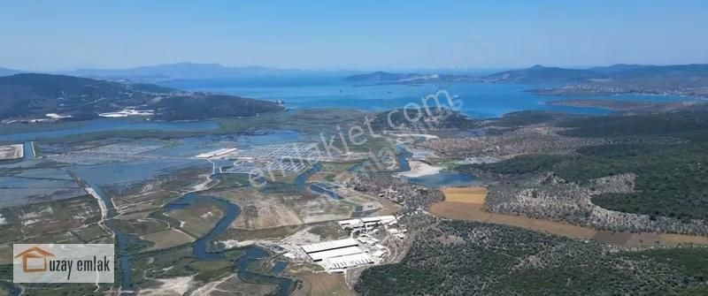 Milas Kıyıkışlacıkta Turizm Bölgesi İçinde 500 Dönüm Geniş Arazi - Görsel 5