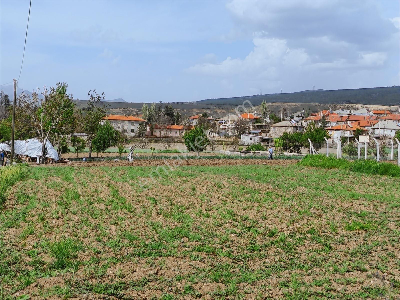 Özpınar ,dan Bahçe -ev 3383 M2 Konya-çavuş Yol Kıyısı - Görsel 9