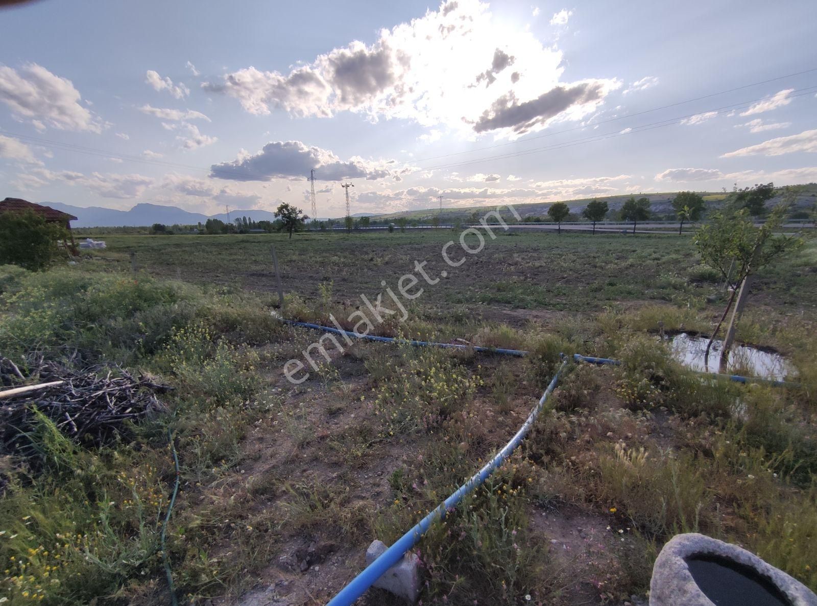 Özpınar ,dan Bahçe -ev 3383 M2 Konya-çavuş Yol Kıyısı - Görsel 24