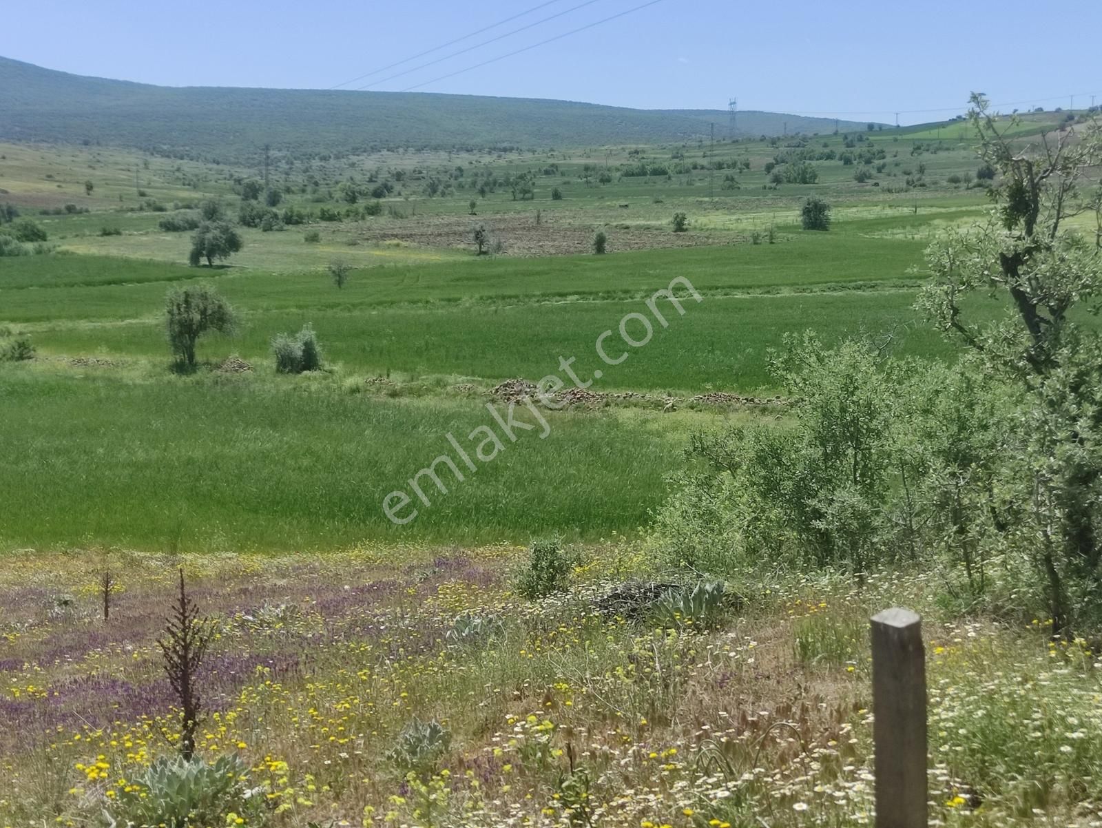 Özpınar ,dan Bahçe -ev 3383 M2 Konya-çavuş Yol Kıyısı - Görsel 17