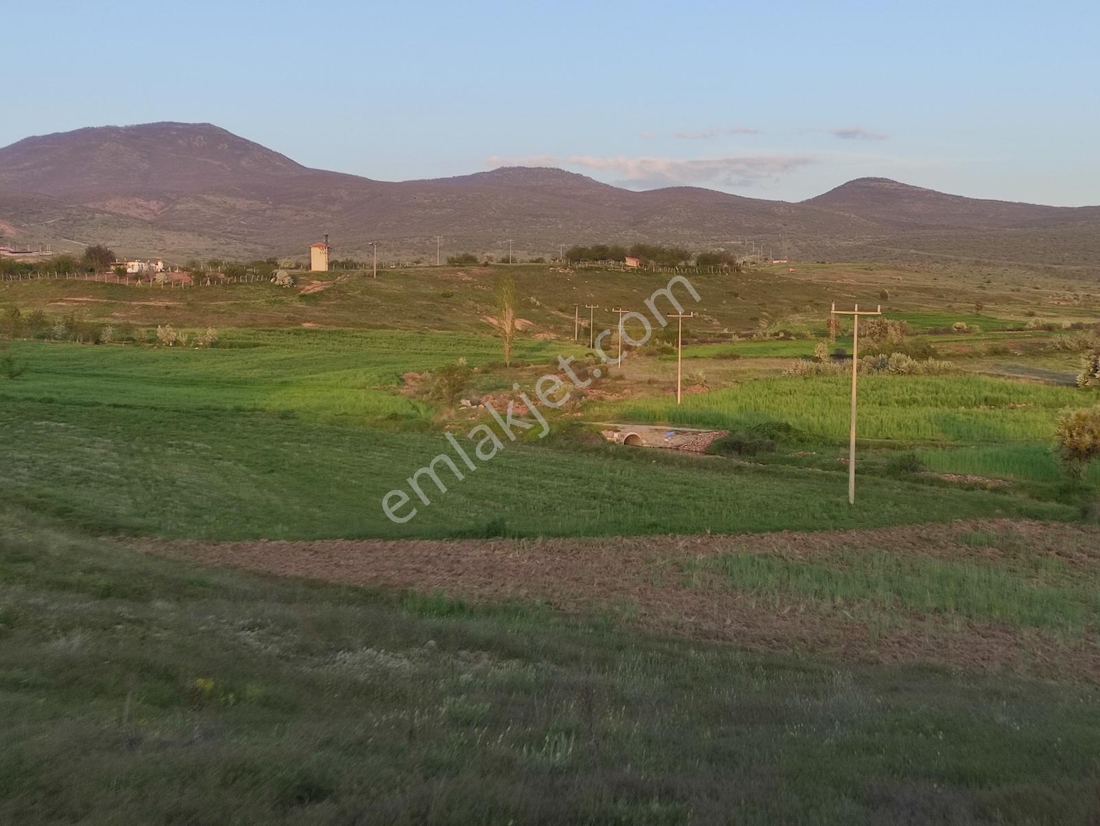 Özpınar Dan Meyve Bahçesi -ev 3383 M2 Konya-çavuş Yol Kıyısı - Görsel 6