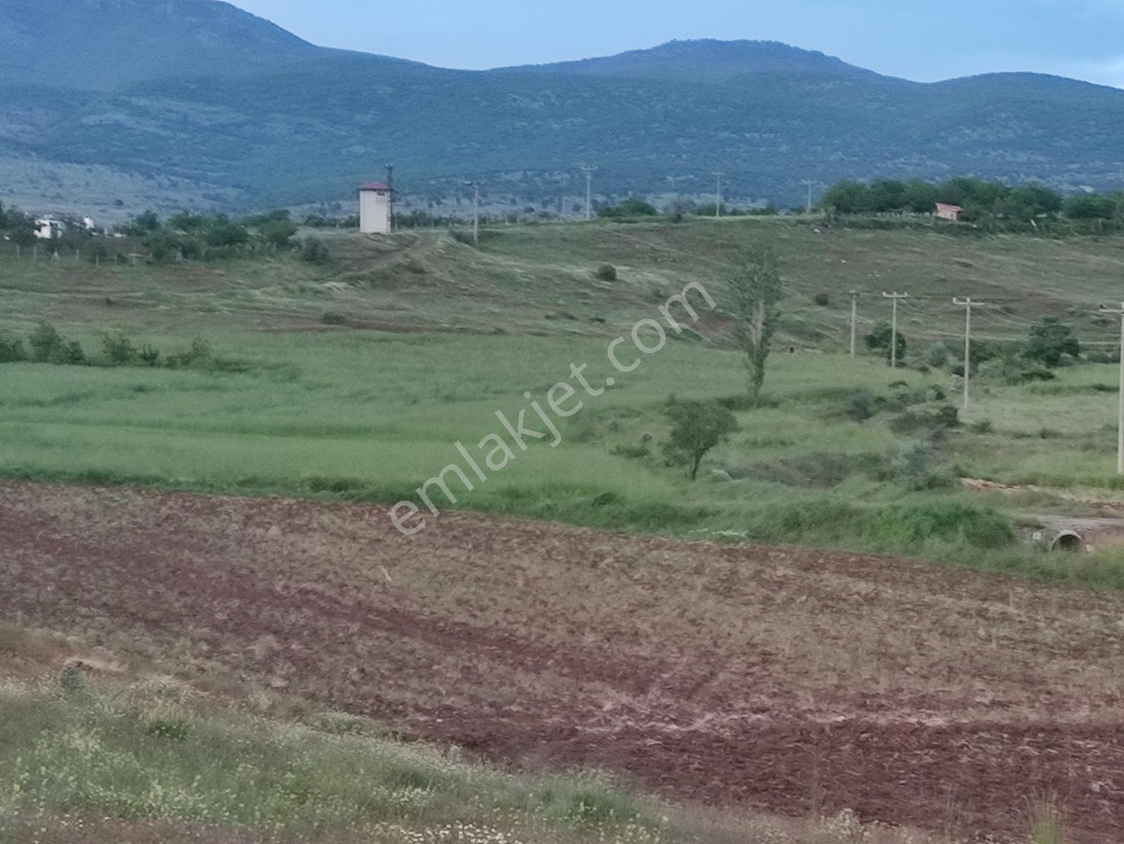 Özpınar Dan Meyve Bahçesi -ev 3383 M2 Konya-çavuş Yol Kıyısı - Görsel 23