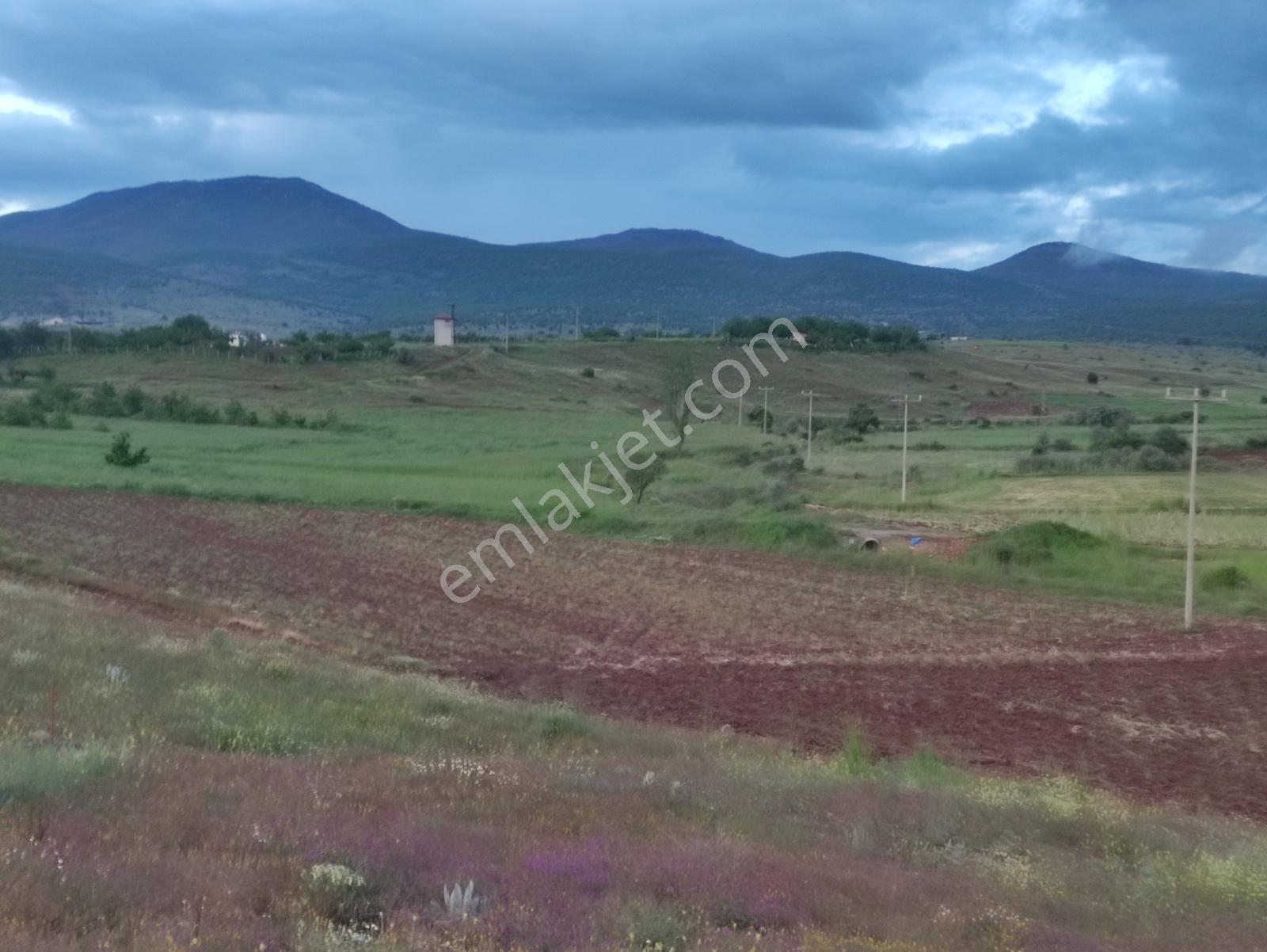 Özpınar Dan Meyve Bahçesi -ev 3383 M2 Konya-çavuş Yol Kıyısı - Görsel 18