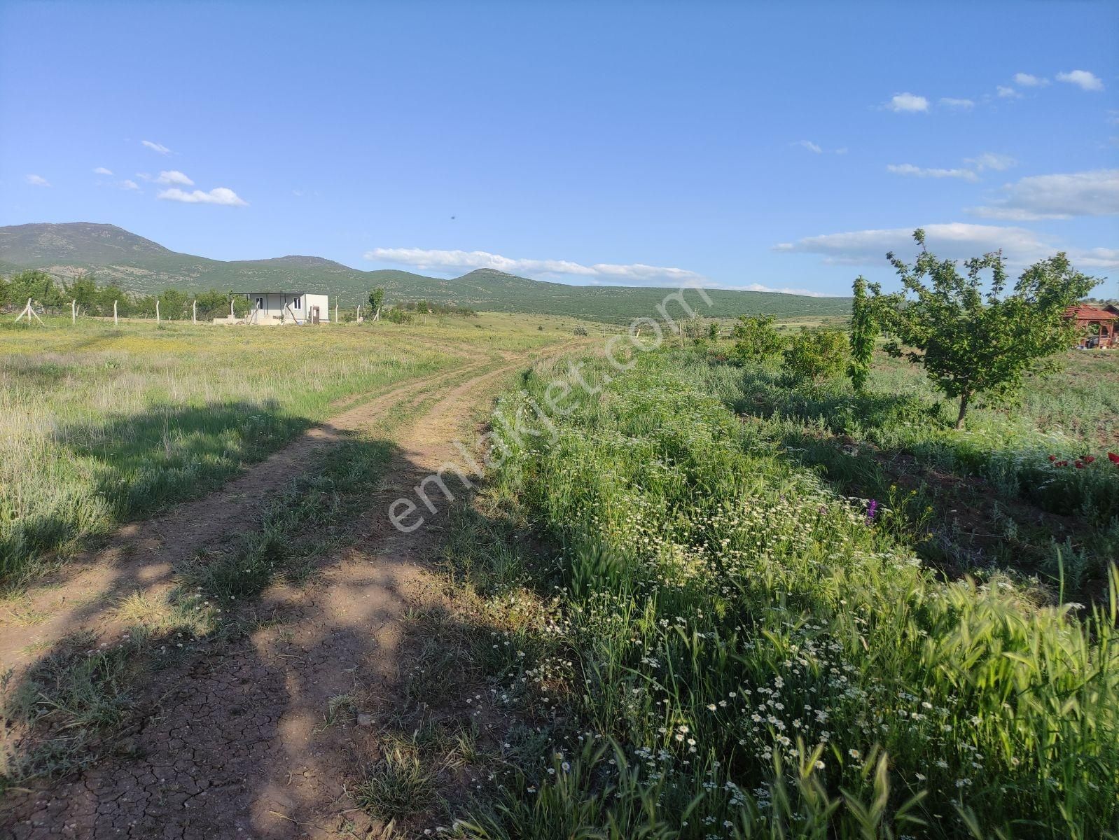 Özpınar ,dan Bahçe -ev 3383 M2 Konya-çavuş Yol Kıyısı - Görsel 27