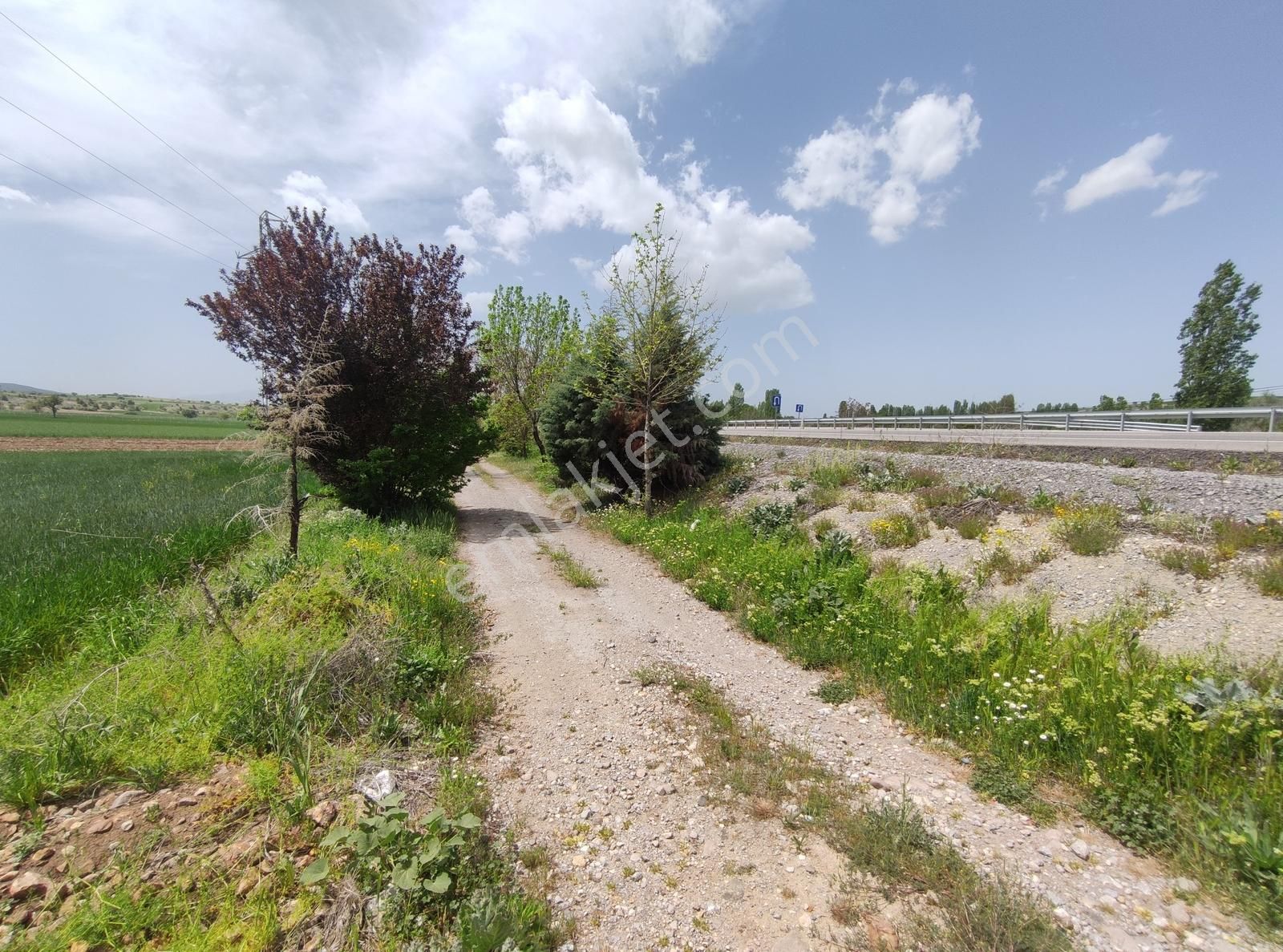 Özpınar ,dan Bahçe -ev 3383 M2 Konya-çavuş Yol Kıyısı - Görsel 7