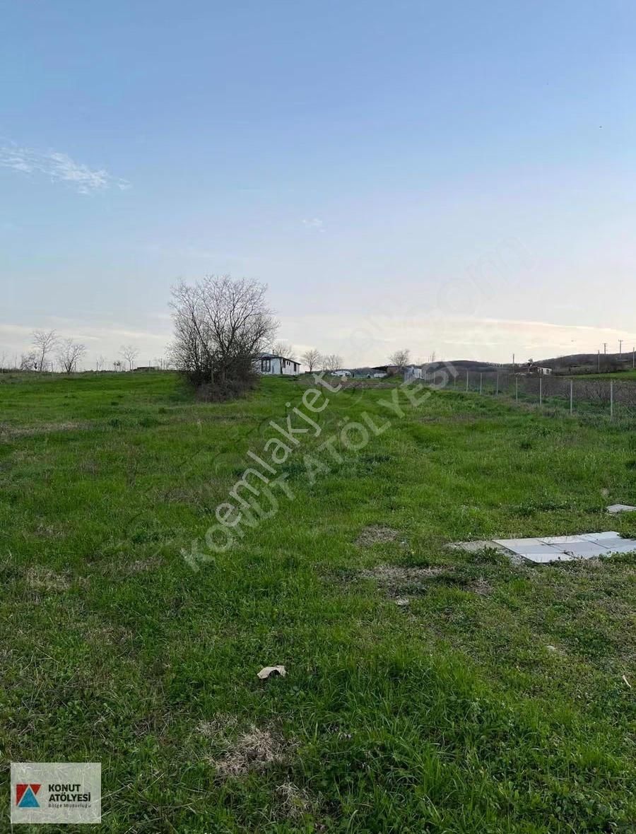 Kandırada Elektrik,su Ve Konteynerlı Satılık Tarla - Görsel 6