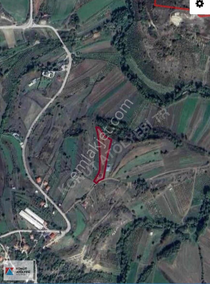 Kandırada Elektrik,su Ve Konteynerlı Satılık Tarla - Görsel 4