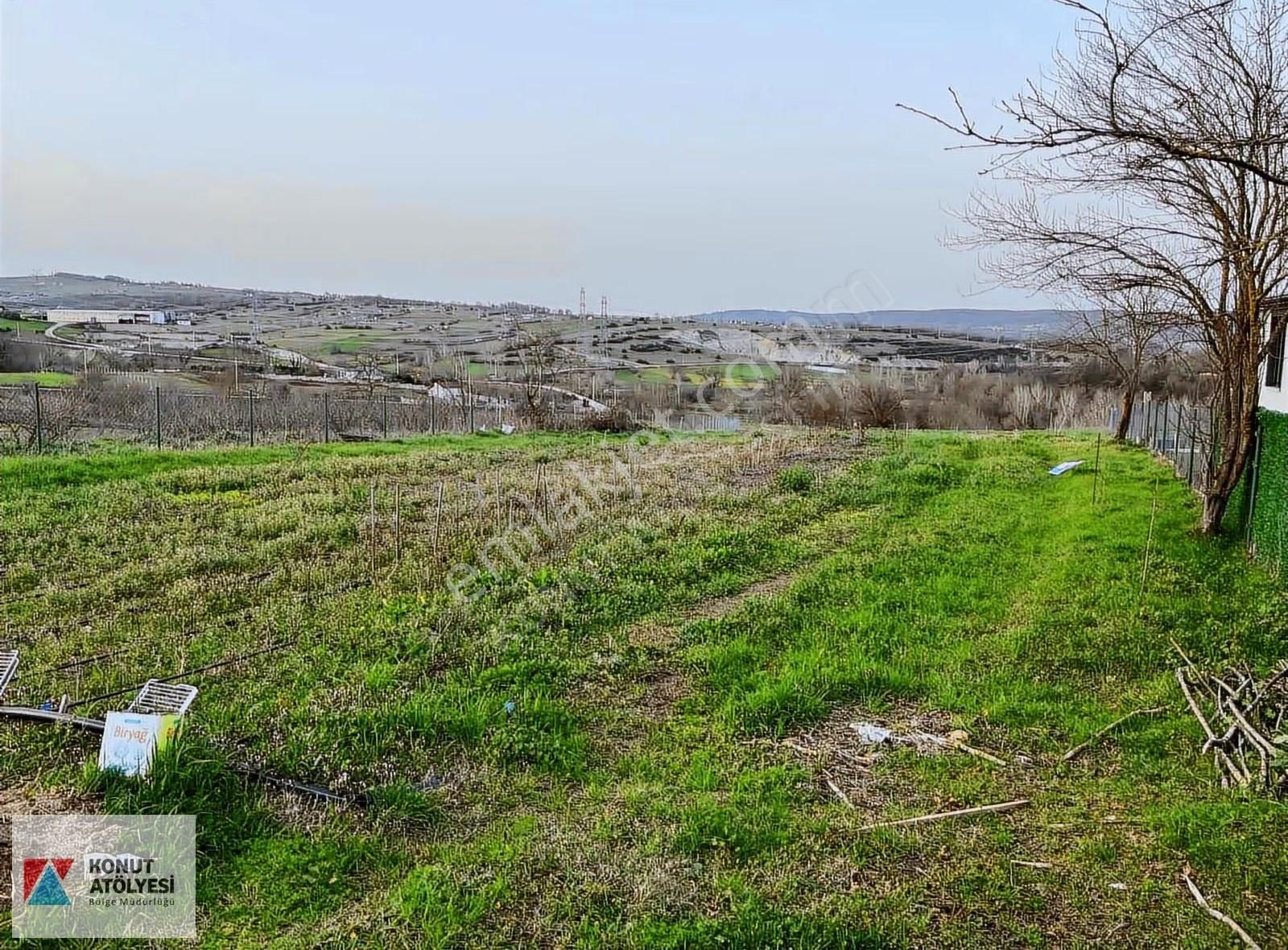 Kandırada Elektrik,su Ve Konteynerlı Satılık Tarla