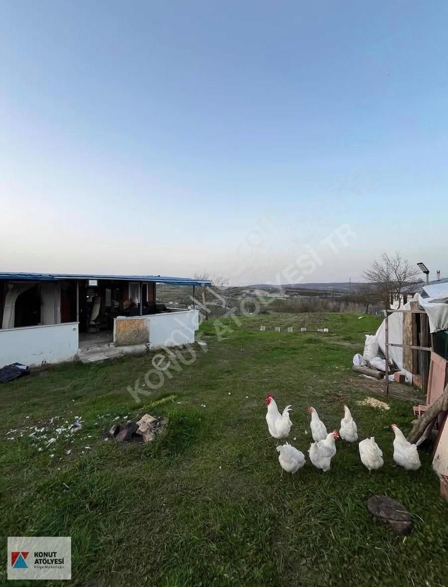 Kandırada Elektrik,su Ve Konteynerlı Satılık Tarla - Görsel 22