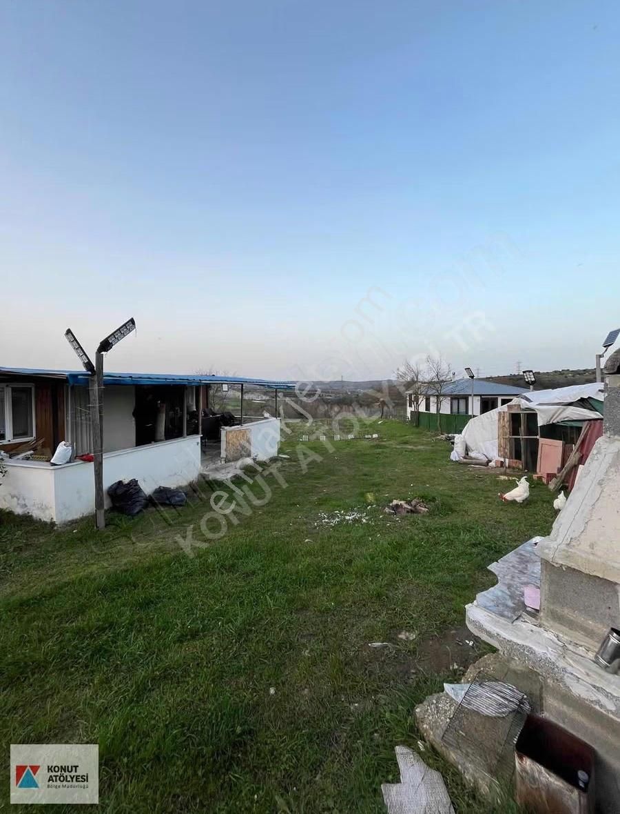 Kandırada Elektrik,su Ve Konteynerlı Satılık Tarla - Görsel 3