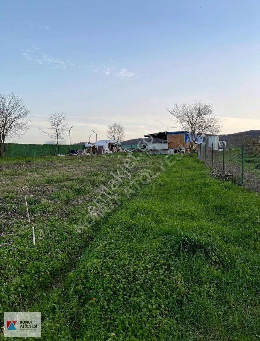 Kandırada Elektrik,su Ve Konteynerlı Satılık Tarla - Görsel 2