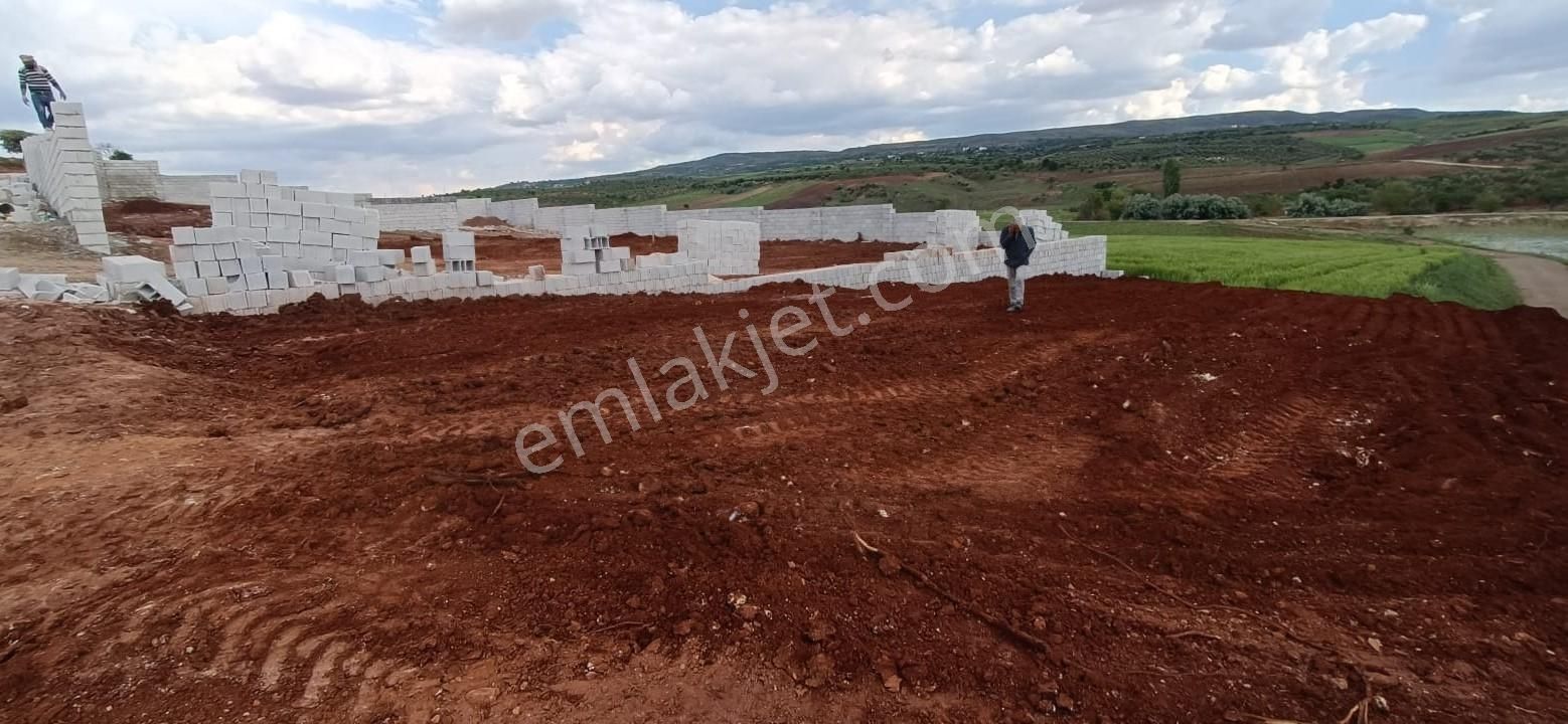 Aktifden Asfalt Üzeri Etrafı Çevrili Kuyusu Olan Bağ Evlik Arazi - Görsel 6