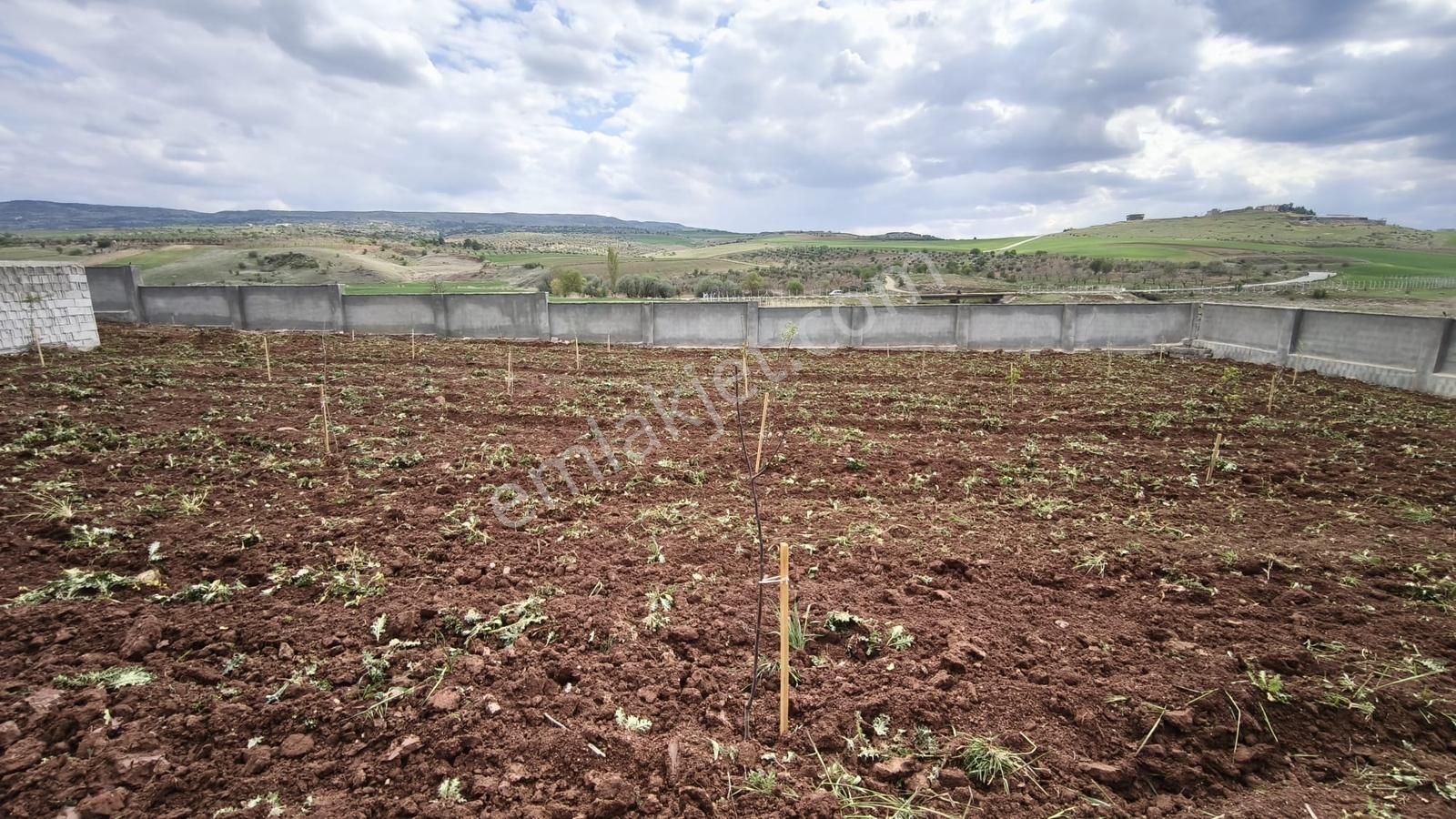 Aktifden Asfalt Üzeri Etrafı Çevrili Kuyusu Olan Bağ Evlik Arazi - Görsel 20