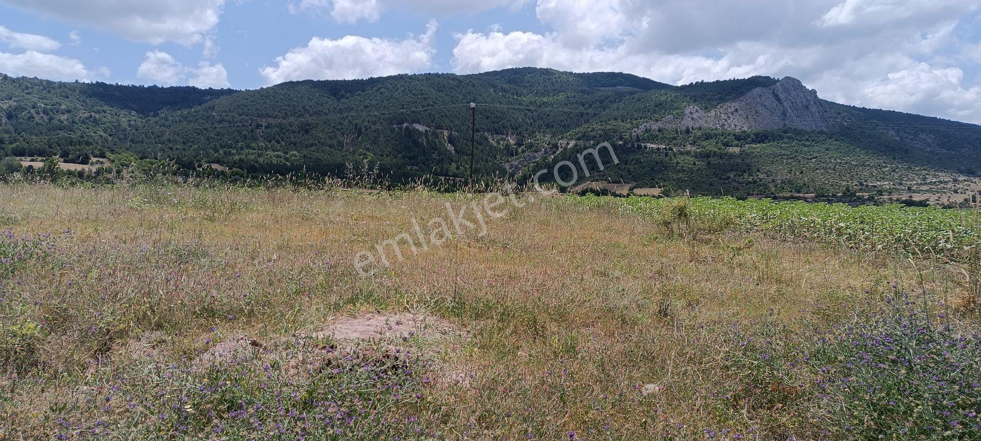 Sakarya Gölpazarı Arıcaklar Köyünde 1446 M2 Satılık Tarla - Görsel 9