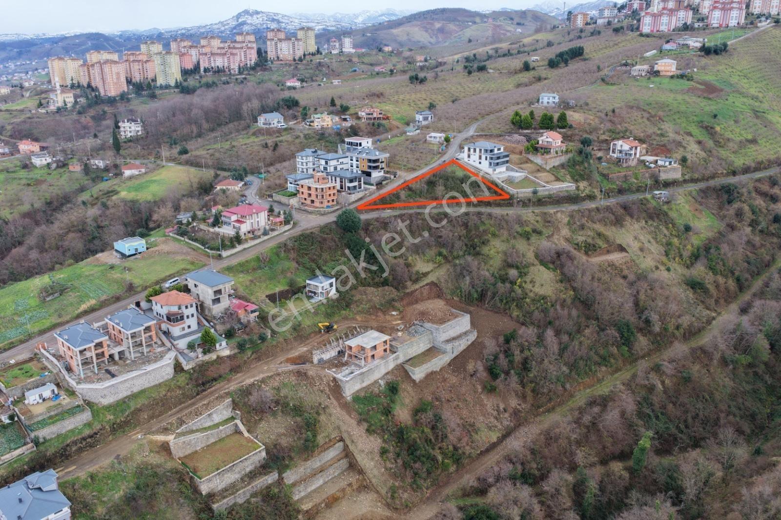 Akcaabat Söğütlüde Satılık Imarlı Arsa - Görsel 6