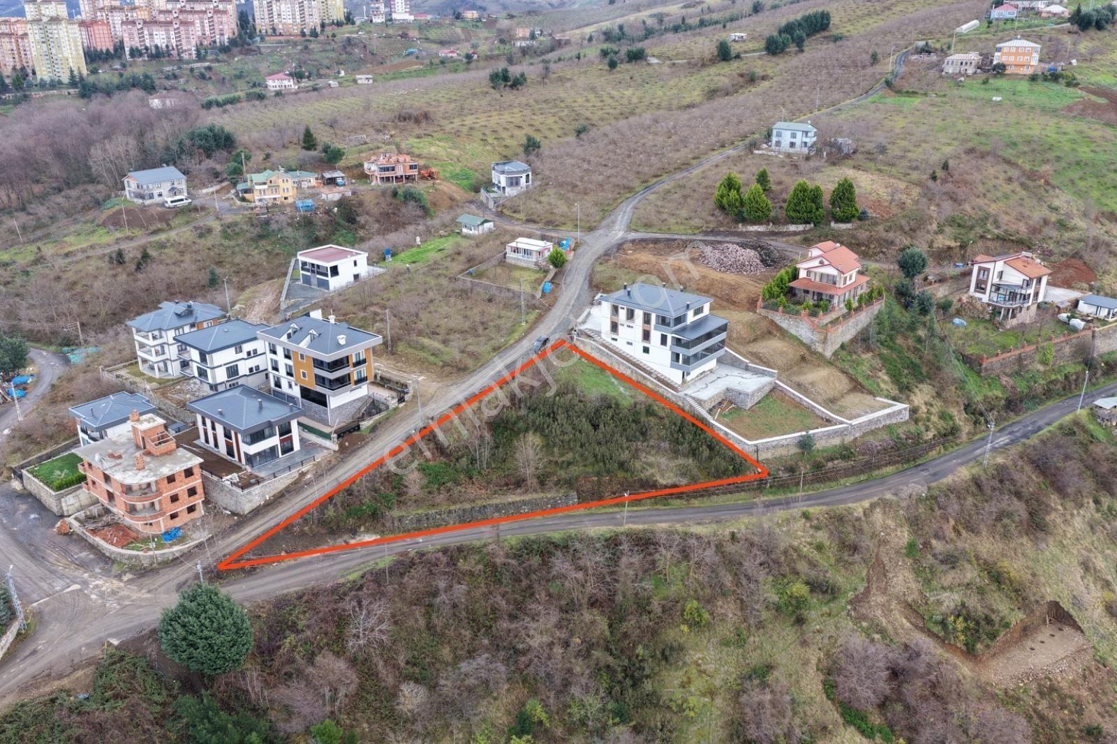 Akcaabat Söğütlüde Satılık Imarlı Arsa - Görsel 3