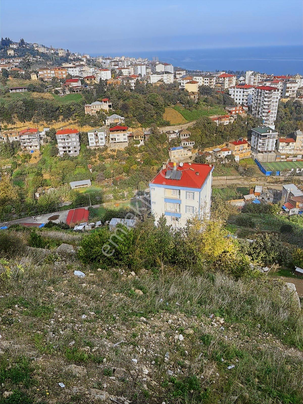 Deniz Manz İmarlı Satılık Villalık Müstakil Arsa Kat Karşılığı - Görsel 5