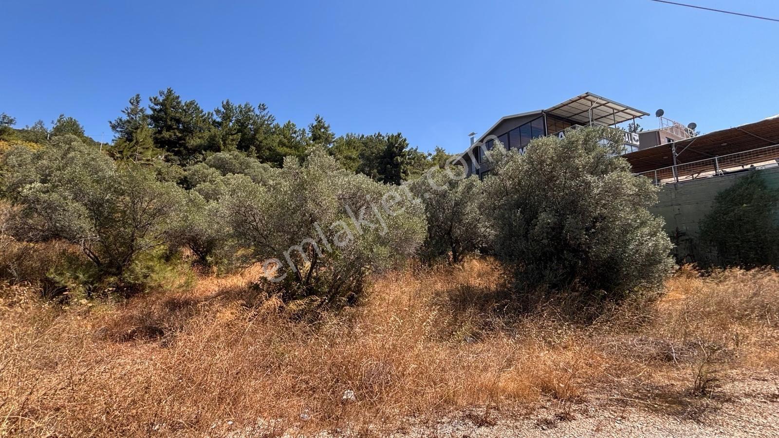 Öncü Emlaktan Gemlik Kurşunluda Villa İmarlı 532 M2 Arsa - Görsel 6