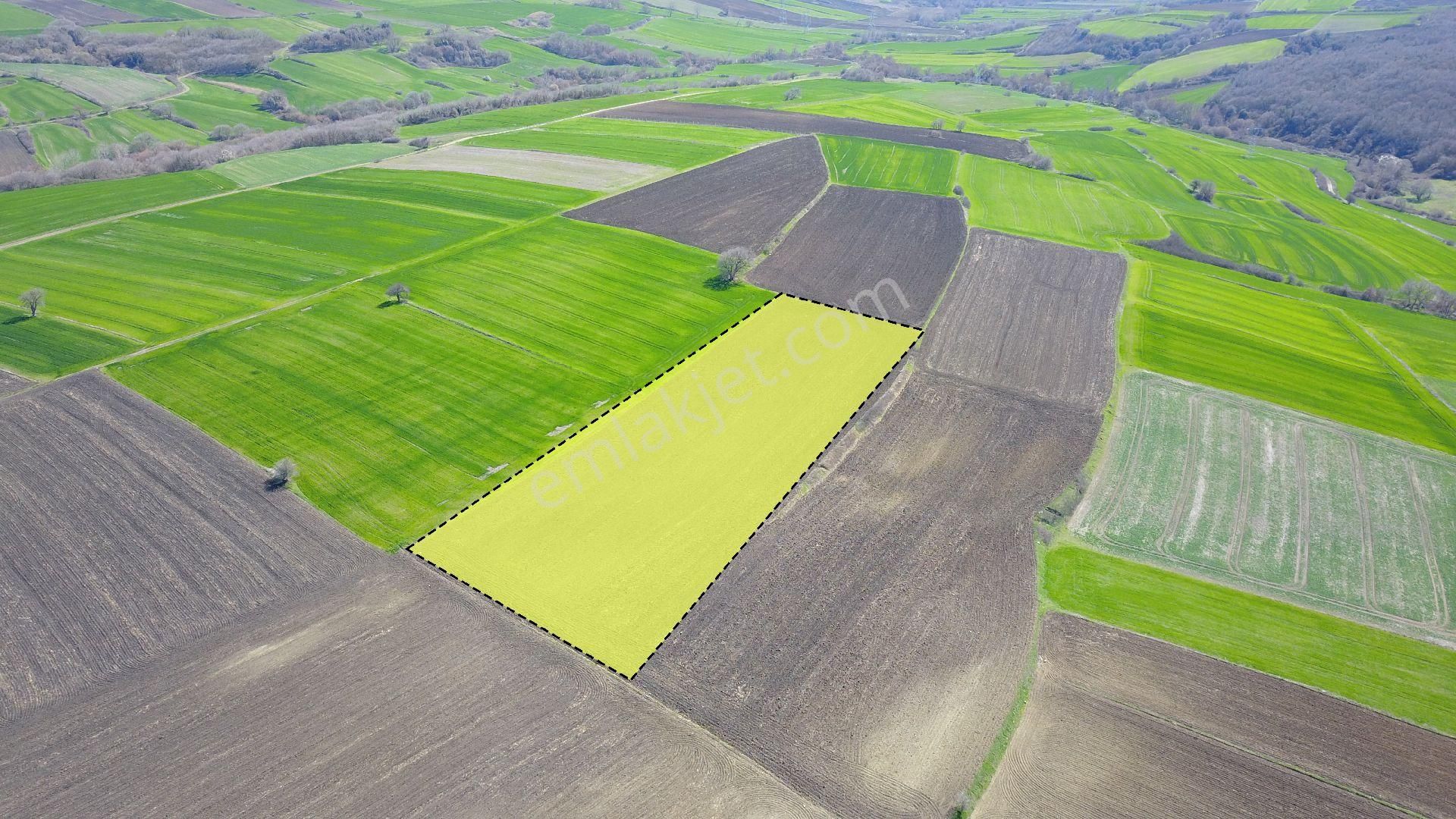 Silivri Buyuksineklide 12600 M2 - Görsel 8