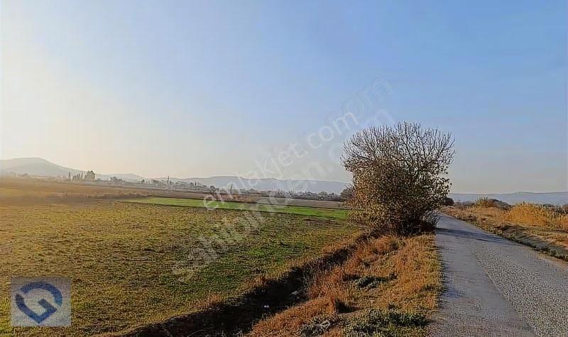 Foça Gerenköy'de Satılık Arsa: 335m², Ana Yola Cepheli Acil