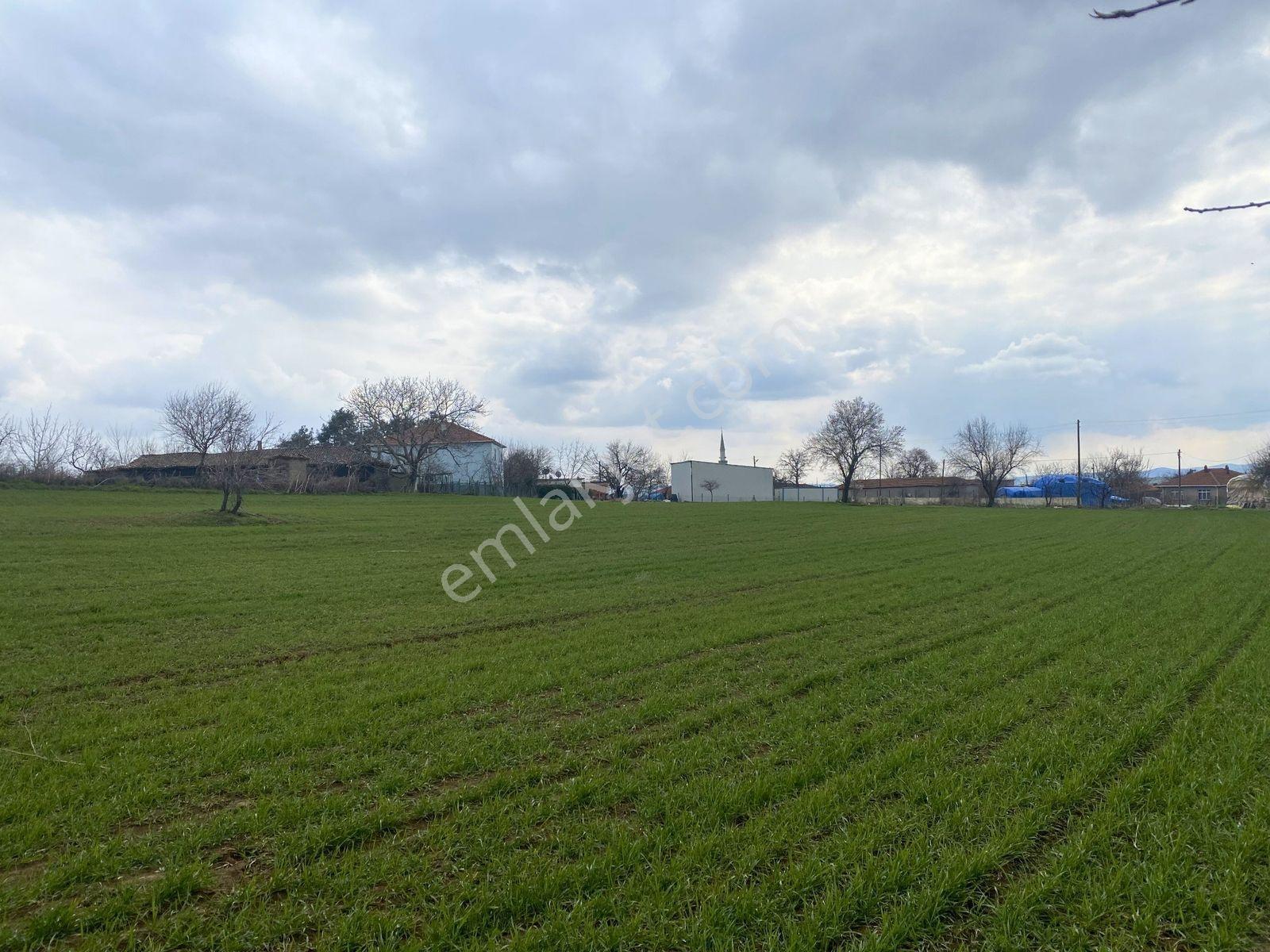 Tekirdağ Malkara Pirinççeşmede 348 M² Resmi Yola Cepheli Arsa - Görsel 3