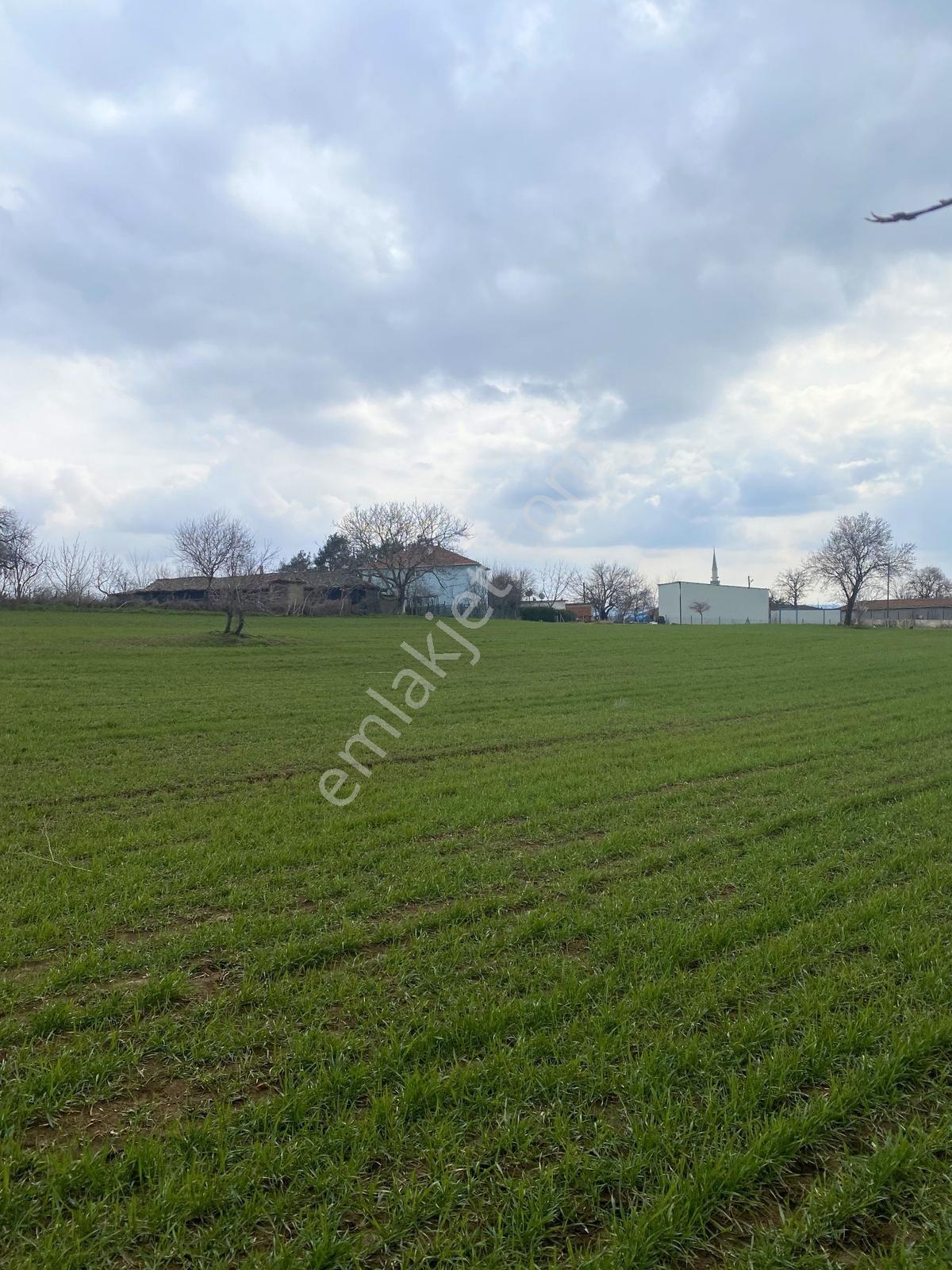 Tekirdağ Malkara Pirinççeşmede 348 M² Resmi Yola Cepheli Arsa - Görsel 2