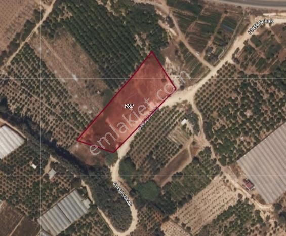 340 M2 Yatırım Fırsatı Yeni Mezitli Şehirhastanesine 2 Km