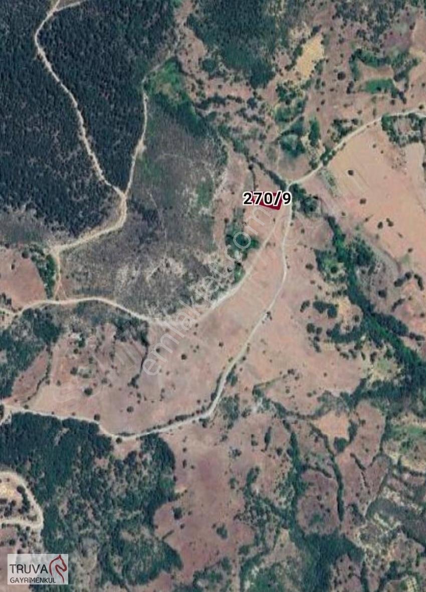 Sındırgı Dedeler'de Köye Yakın Yola Cephe Yatırımlık 962 M2 - Görsel 2