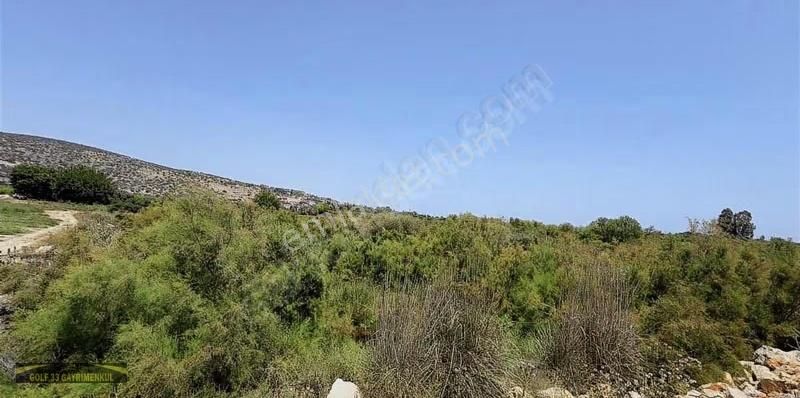 Son Derece Özel Fırsat 20 Dönüm Mersin/antalya Yoluna 400 M - Görsel 3