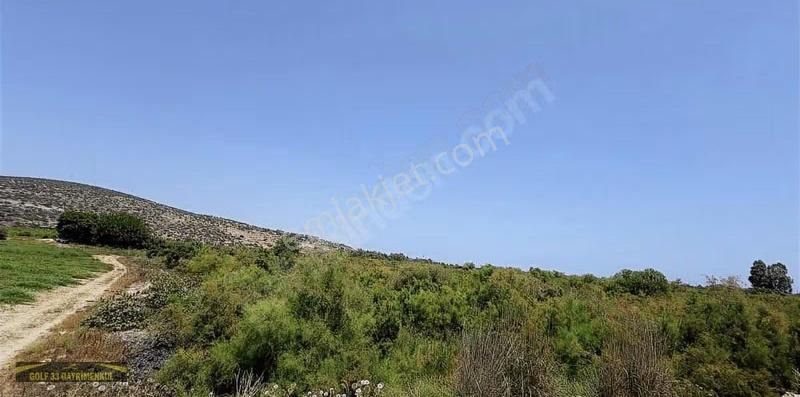 Son Derece Özel Fırsat 20 Dönüm Mersin/antalya Yoluna 400 M - Görsel 6