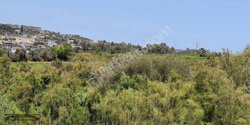 Son Derece Özel Fırsat 20 Dönüm Mersin/antalya Yoluna 400 M - Görsel 4