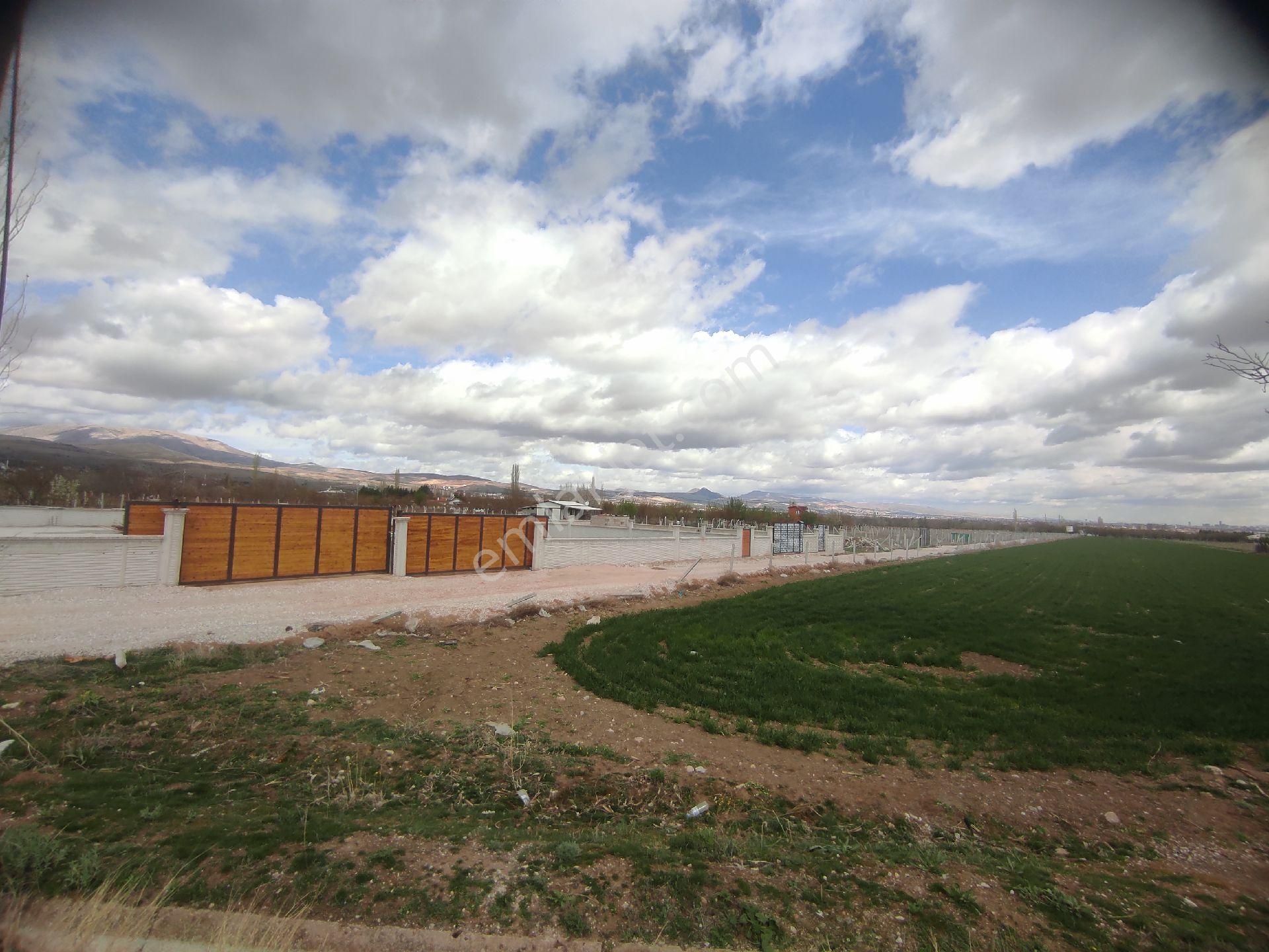 Daha Uygunu Yok 365 M2