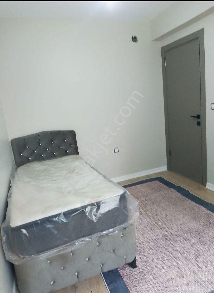 Sütlüce Mahallesi Sıfırsıfır Eşyalı Kiracılı Satılık 1+1 Apart - Görsel 9