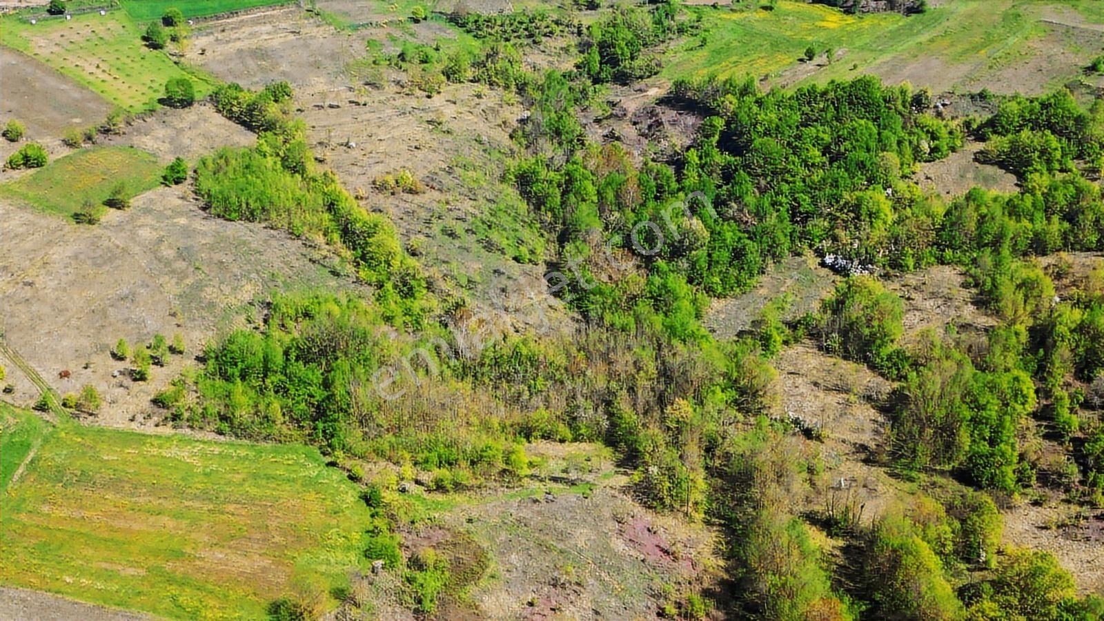 Kocaeli Kandıra Ahmethacılar Da Yatırımlık Tarla 825m2 - Görsel 4