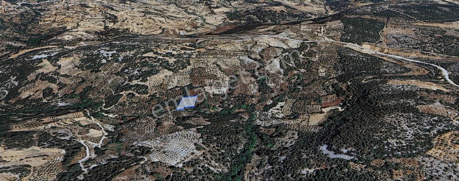 Muğla/menteşe Denizova Mahallesinde 2874 M2 Satılık Tarla - Görsel 9