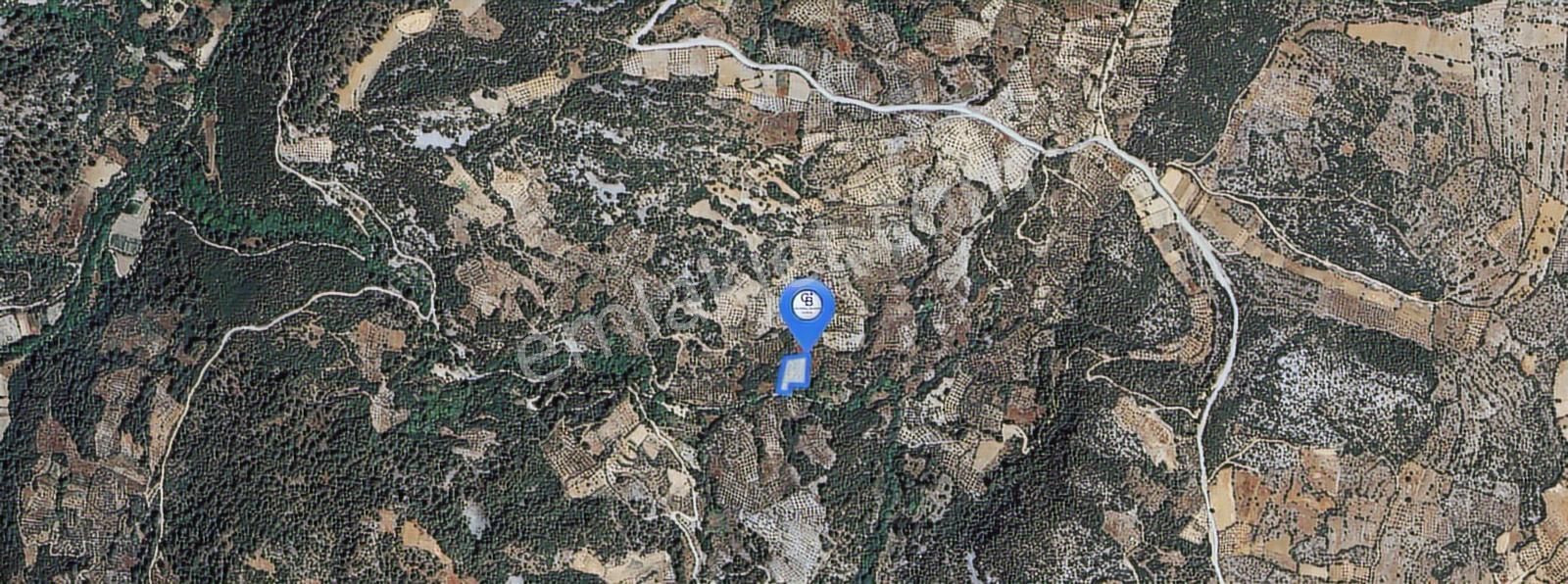 Muğla/menteşe Denizova Mahallesinde 2874 M2 Satılık Tarla - Görsel 4
