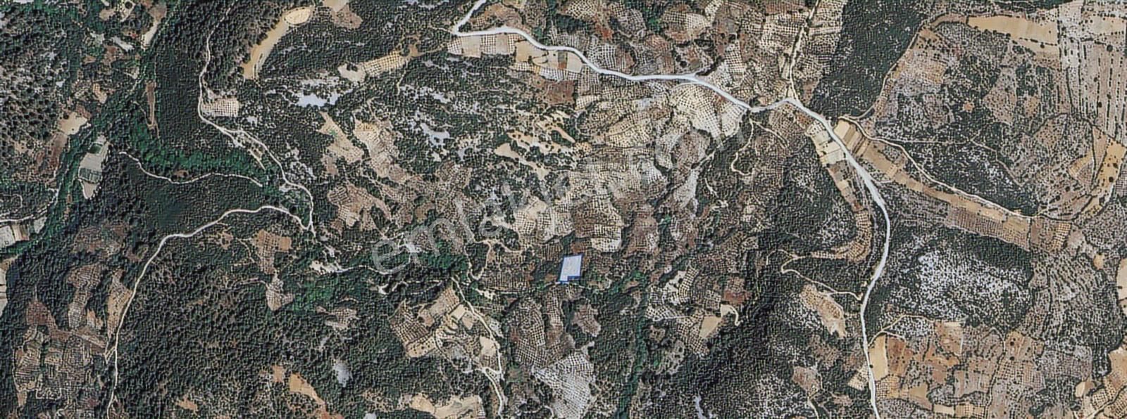 Muğla/menteşe Denizova Mahallesinde 2874 M2 Satılık Tarla - Görsel 2