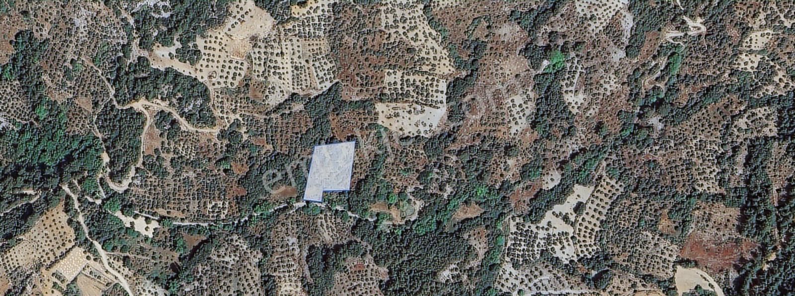 Muğla/menteşe Denizova Mahallesinde 2874 M2 Satılık Tarla - Görsel 7