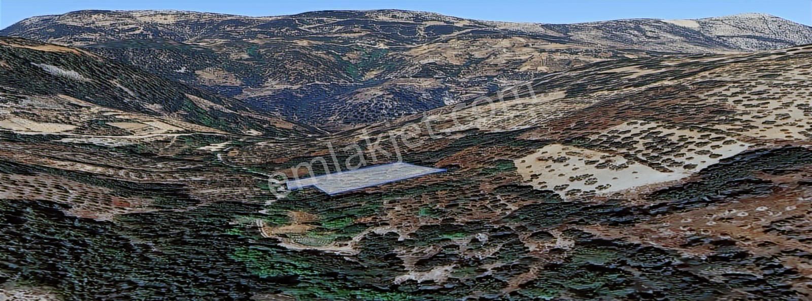 Muğla/menteşe Denizova Mahallesinde 2874 M2 Satılık Tarla - Görsel 11