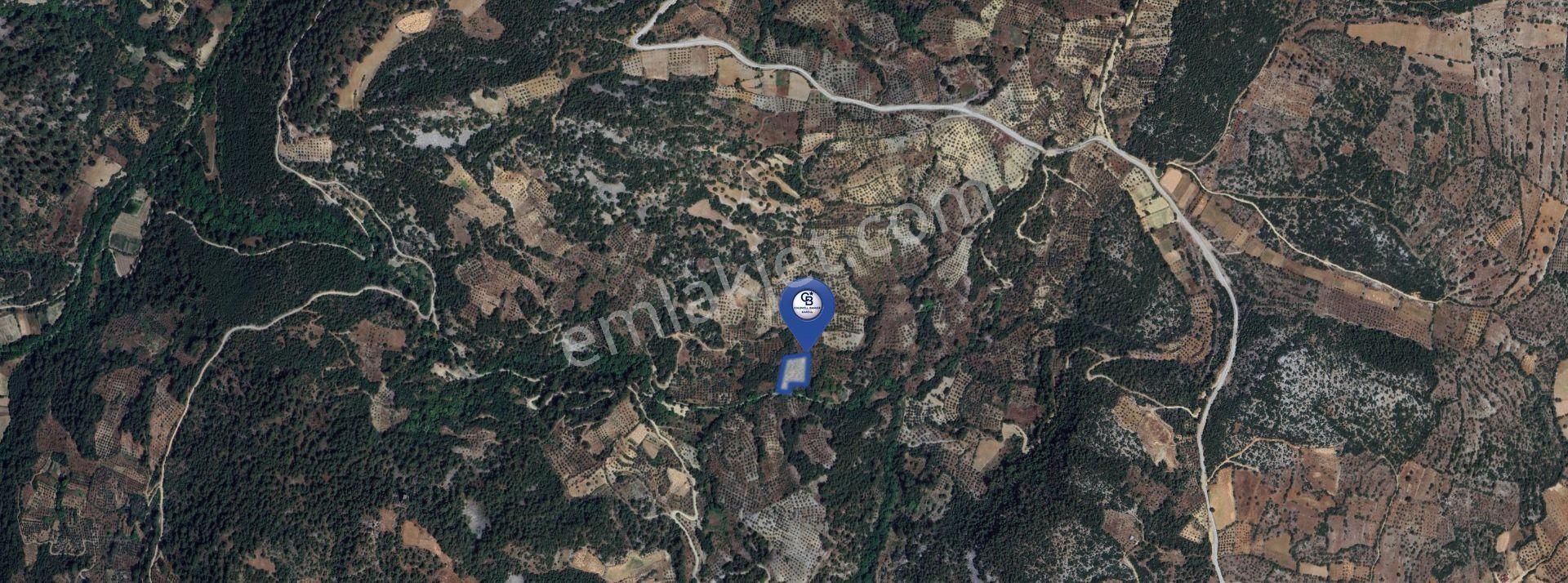 Muğla/menteşe Denizova Mahallesinde 2874 M2 Satılık Tarla