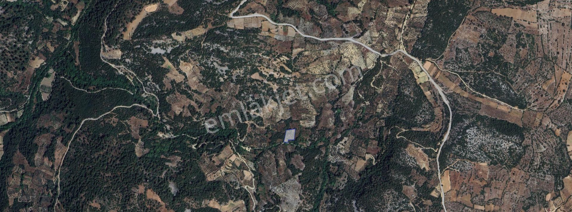 Muğla/menteşe Denizova Mahallesinde 2874 M2 Satılık Tarla - Görsel 12