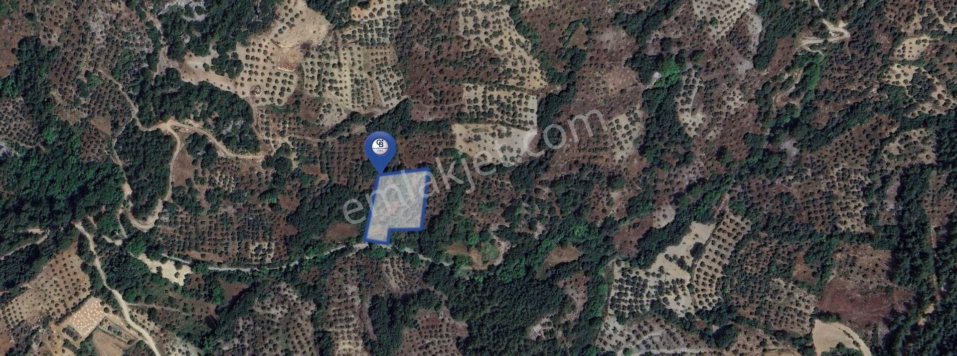 Muğla/menteşe Denizova Mahallesinde 2874 M2 Satılık Tarla - Görsel 2