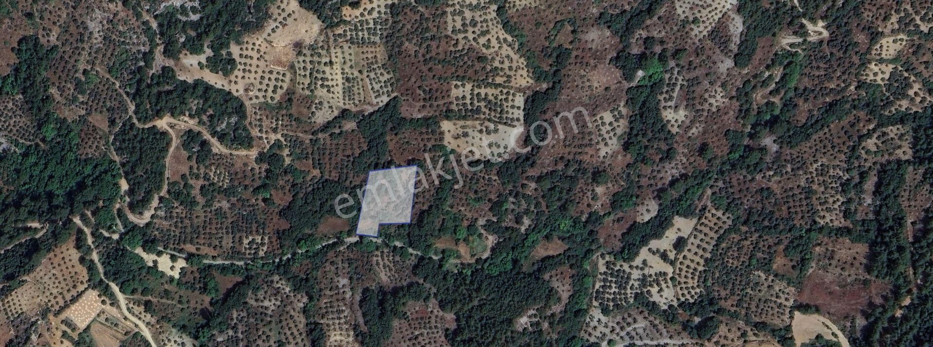 Muğla/menteşe Denizova Mahallesinde 2874 M2 Satılık Tarla - Görsel 8