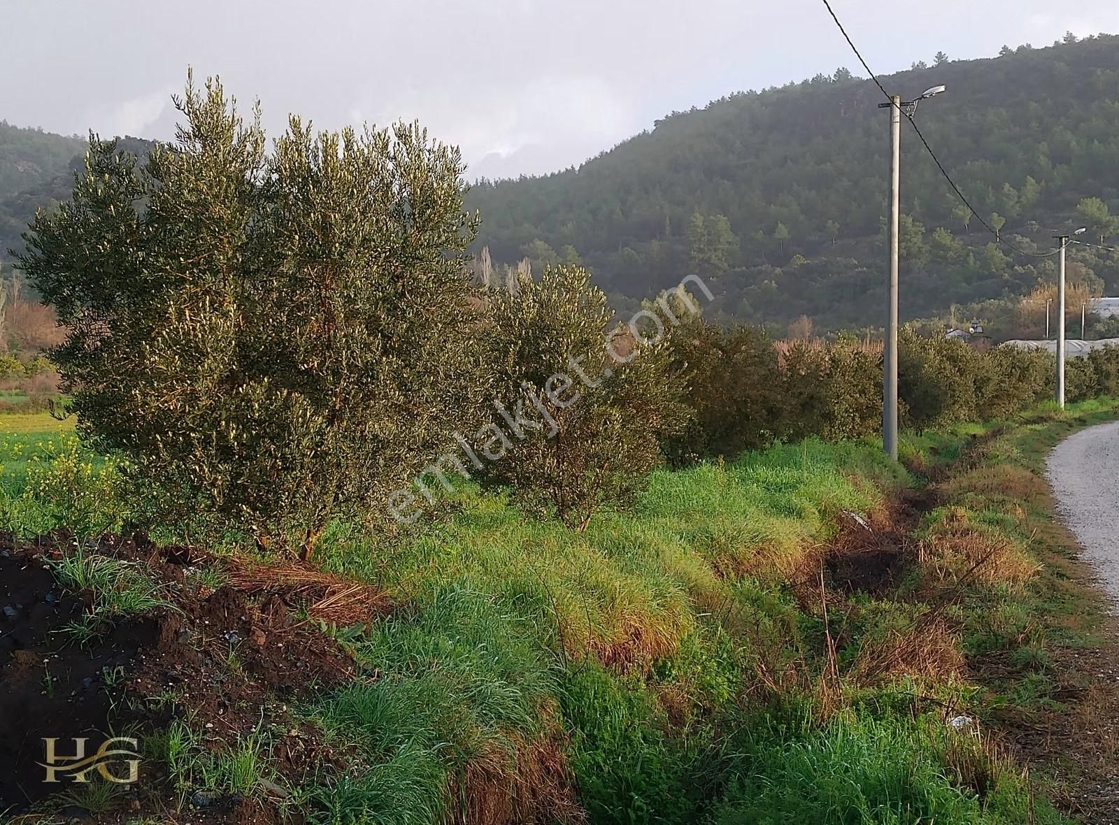 Muğla Seydikemer Kabaağaç Ta Yatırıma Uygun Satılık Taşınmaz - Görsel 6