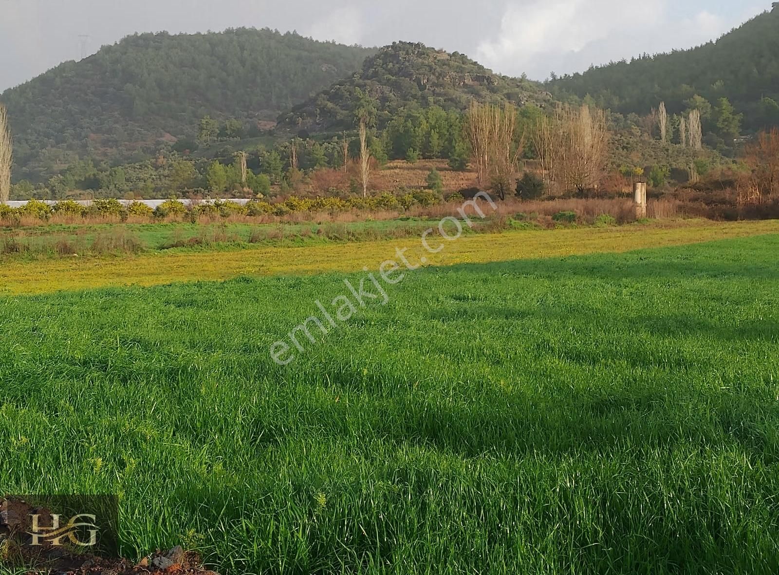 Muğla Seydikemer Kabaağaç Ta Yatırıma Uygun Satılık Taşınmaz - Görsel 24