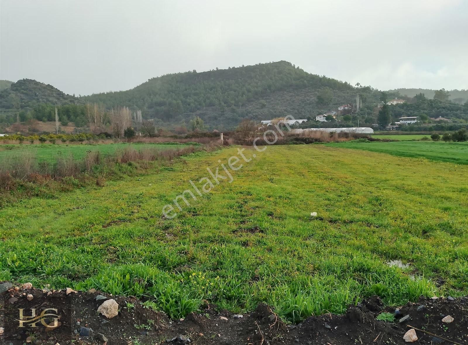 Muğla Seydikemer Kabaağaç Ta Yatırıma Uygun Satılık Taşınmaz - Görsel 8