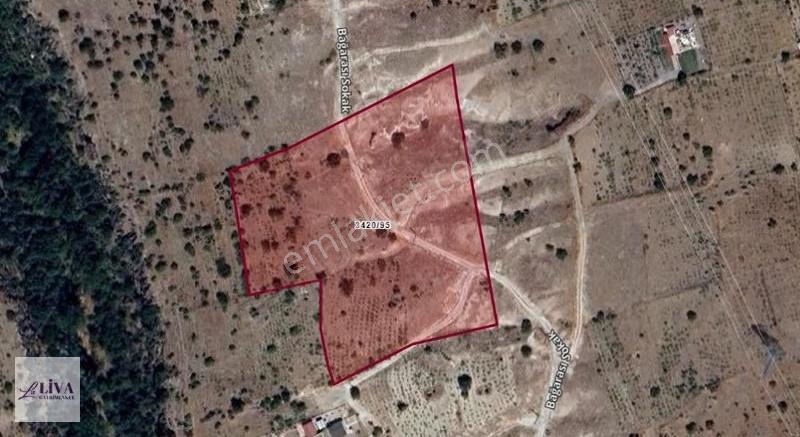 Liva'dan Reşadiye'de 1156 M² Rızai Taksimli Harika Bağ - Görsel 7