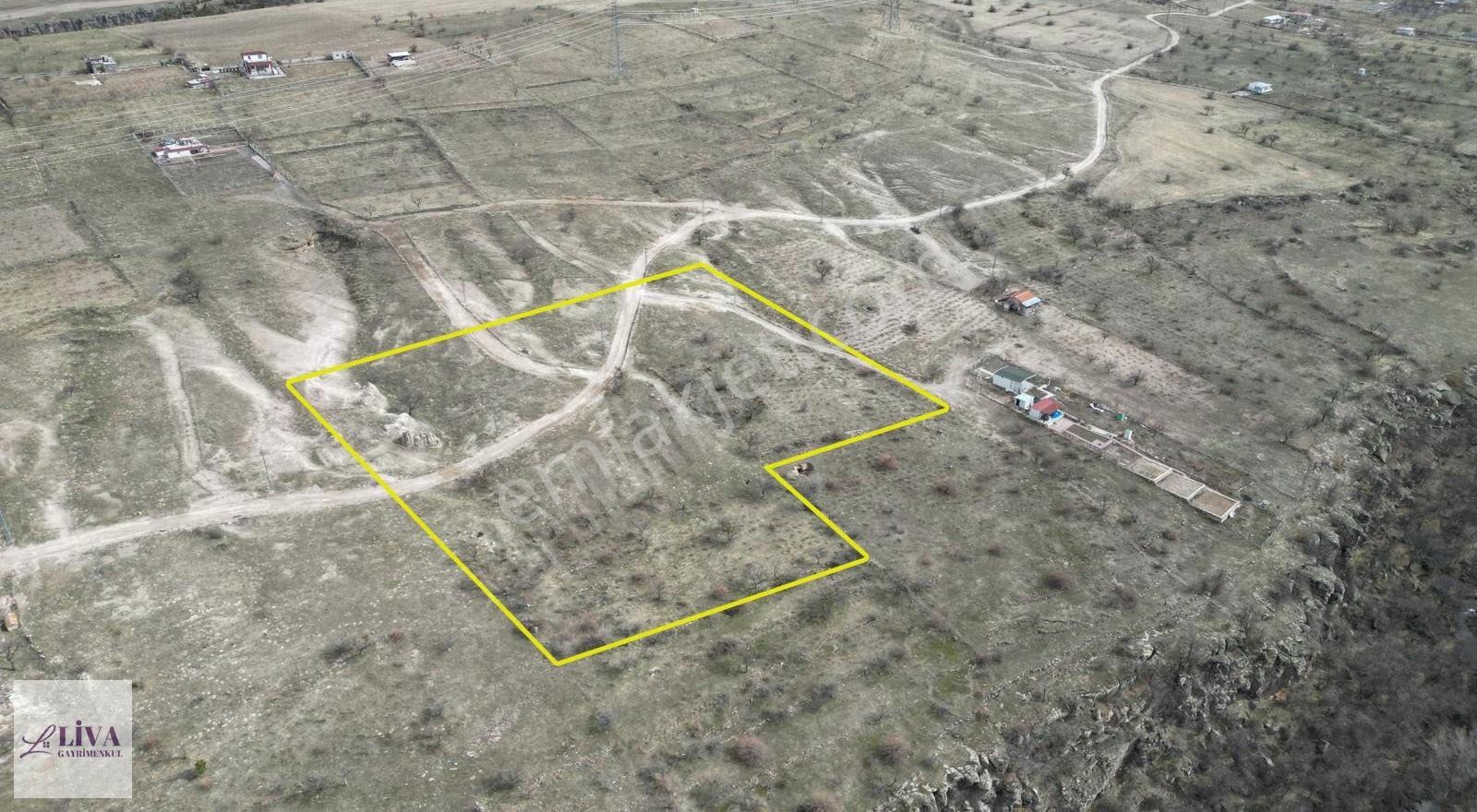 Liva'dan Reşadiye'de 1156 M² Rızai Taksimli Harika Bağ - Görsel 9