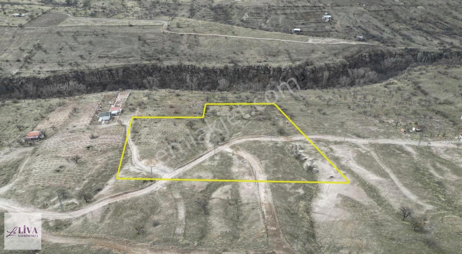 Liva'dan Reşadiye'de 1156 M² Rızai Taksimli Harika Bağ - Görsel 2