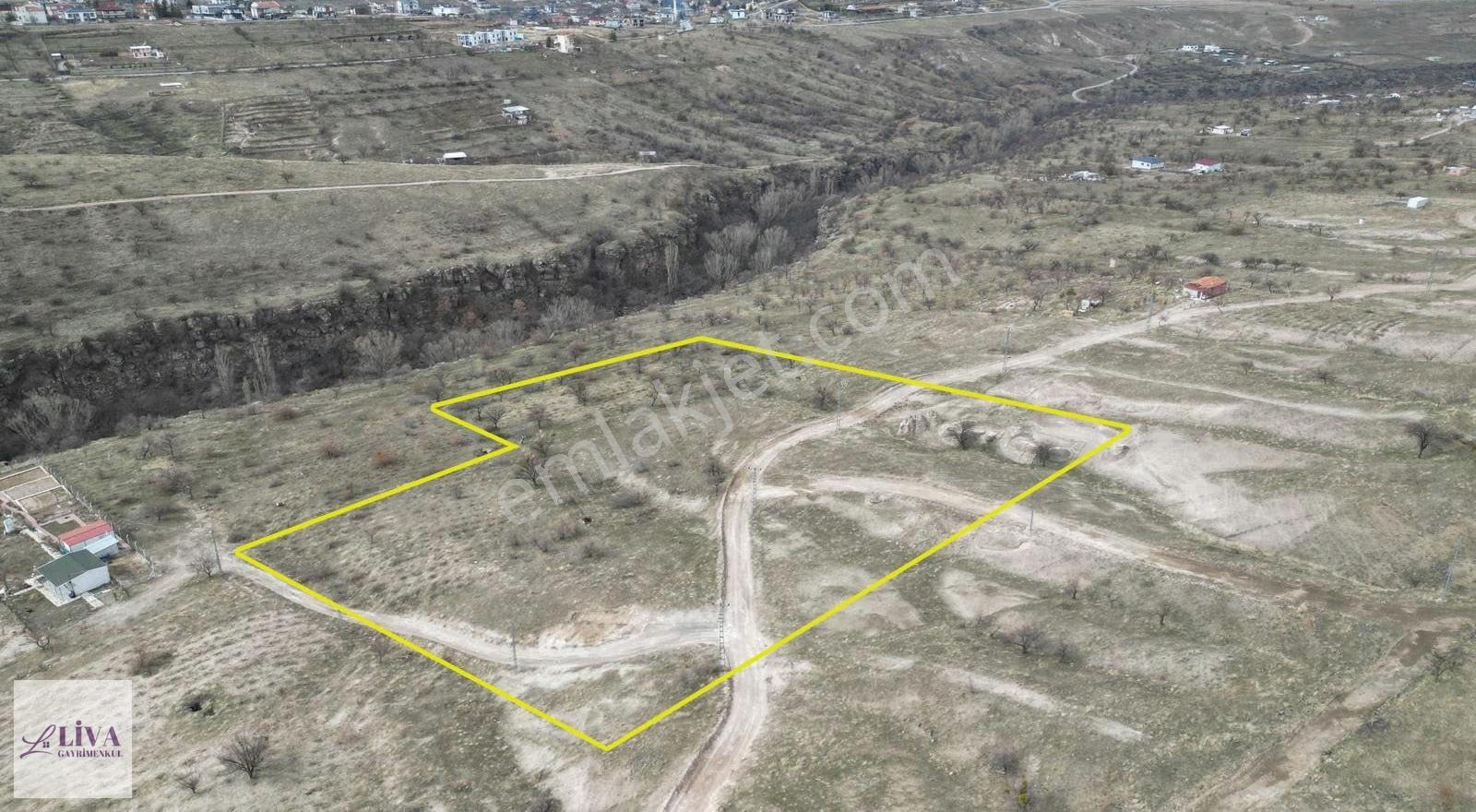 Liva'dan Reşadiye'de 1156 M² Rızai Taksimli Harika Bağ - Görsel 15